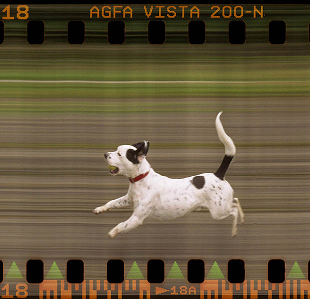 Old Film SLR Converted into a Slit Scan Photo Finish Camera slit1 mini