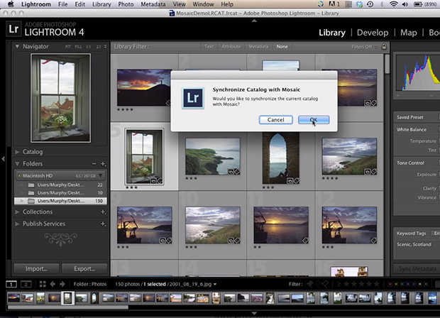 Synchronize Your Lightroom Catalog with the Cloud Using Mosaic View mosaicview1 mini