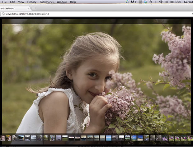 Synchronize Your Lightroom Catalog with the Cloud Using Mosaic View mosaicview4 mini