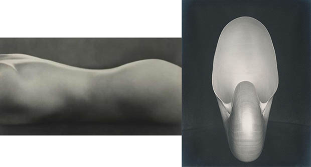The Photographer: A 1948 Documentary on the Life and Work of Edward Weston nunaut