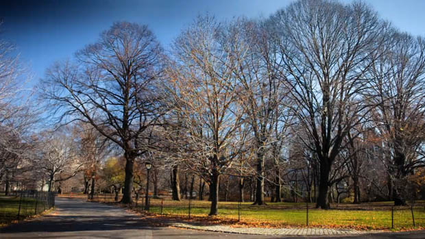 Time Lapse of Central Park in NYC Shows the Seasons Changing Over 6 Months changingseasons 91