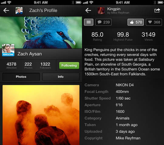 500px Brings Beautiful Photo Browsing to the iPhone 500pxc
