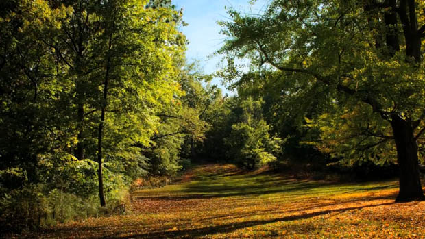 Time Lapse of Central Park in NYC Shows the Seasons Changing Over 6 Months changingseasons 11