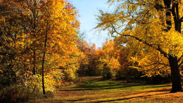 Time Lapse of Central Park in NYC Shows the Seasons Changing Over 6 Months changingseasons 7