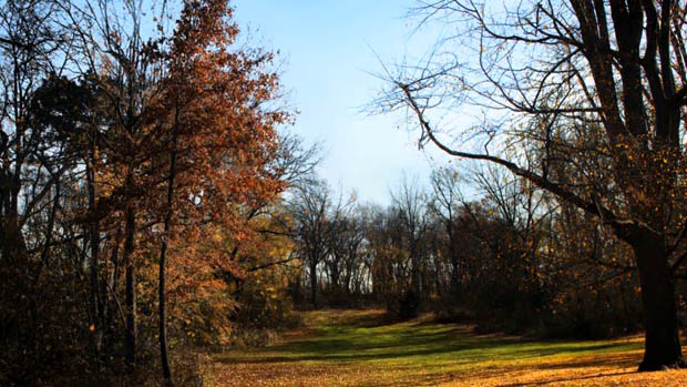 Time Lapse of Central Park in NYC Shows the Seasons Changing Over 6 Months changingseasons 8