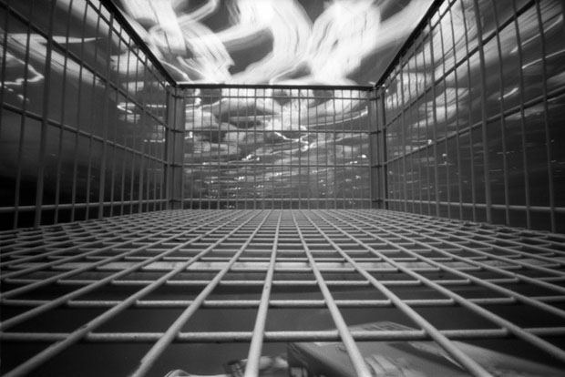 Capturing My World Without a Lens costco copy