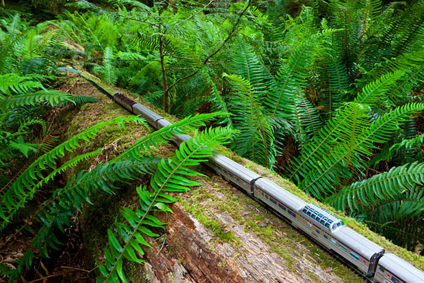 Photos of a Model Train Rumbling Across the Great Outdoors canadiantrain 3