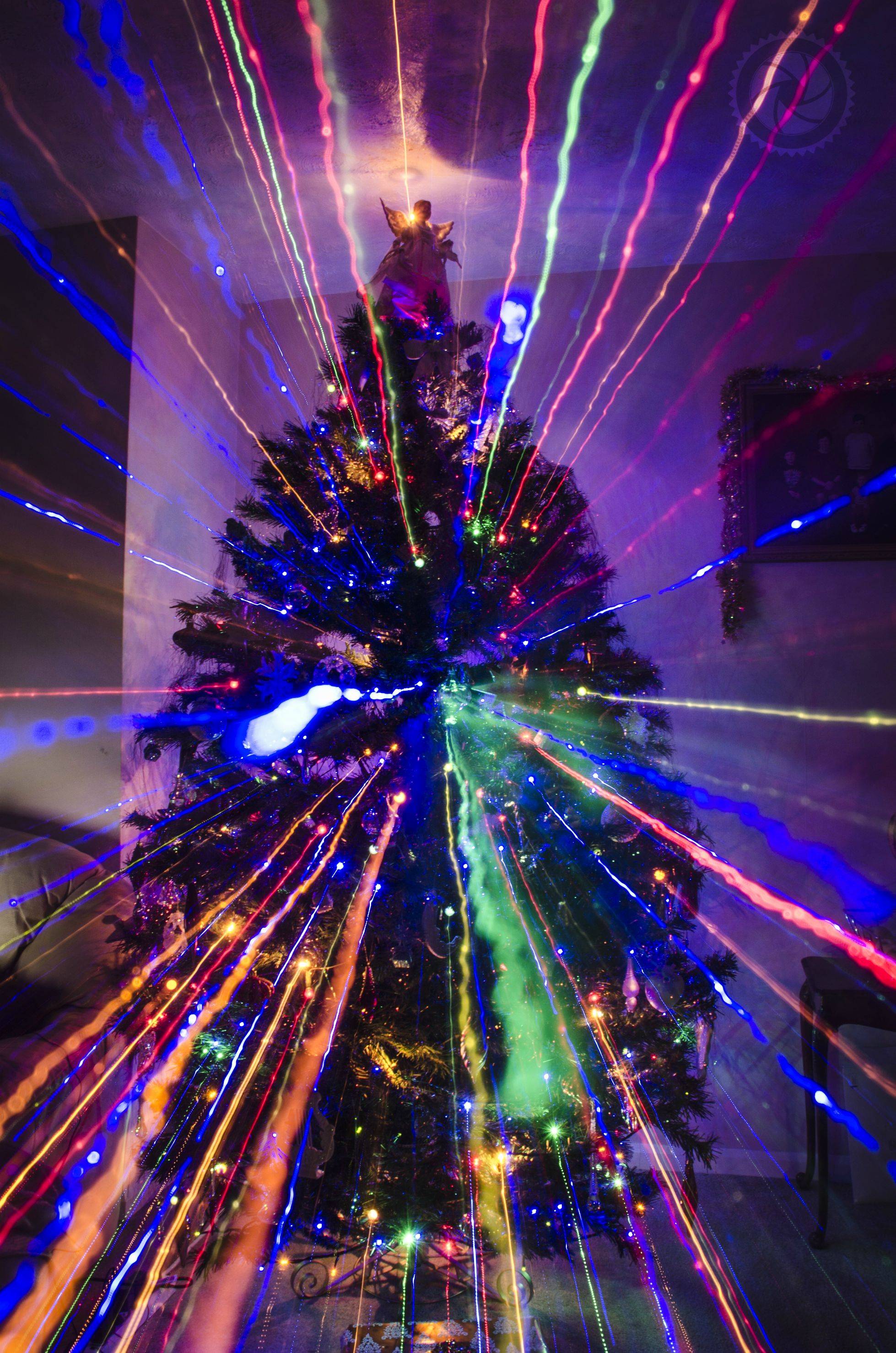 Interesting Photo of the Day Christmas Tree Zoom The Dream Within