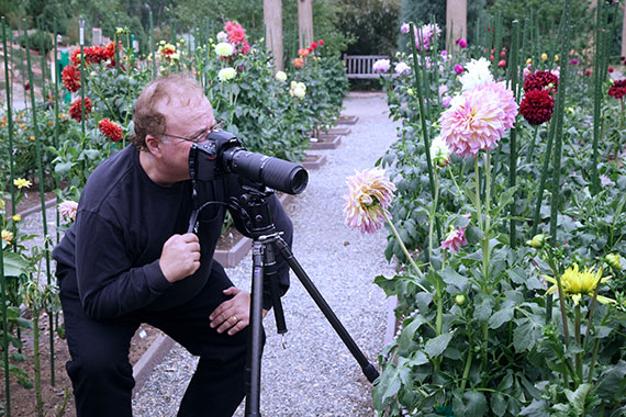 best camera for flower photography