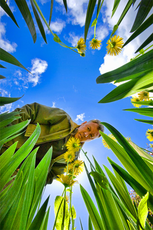 Finding Fresh Angles to Shoot From in Photography | The Dream Within ...